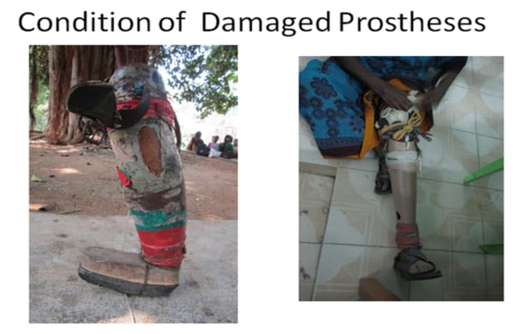 Freedom Trust Activity 16